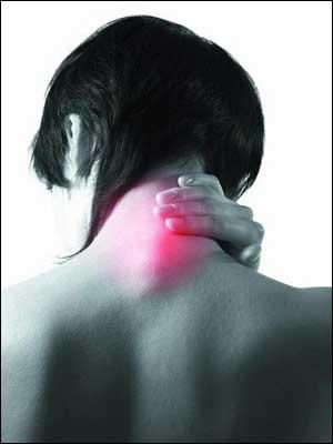 1559118546284700.jpg 201401012106338573.jpg